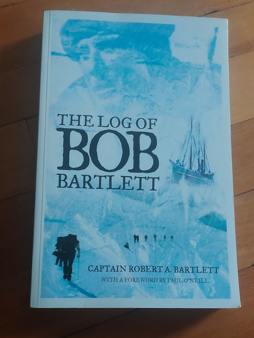 The Log of Bob Bartlett Arctic Memoir Flanker Press